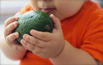 avocado-fruit-baby-food-diet-1476493.jpg