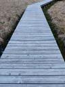 web-boardwalk-moor-swamp-moorland-357822.jpg