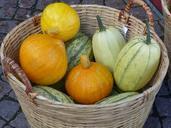 basket-pumpkins-autumn-colors-985386.jpg