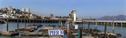 sea-lions-california-harbor-670223.jpg