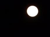 moonlight-full-moon-night-sphere-673935.jpg