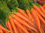 carrots-federal-carrots-food-1160683.jpg