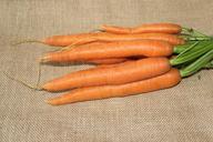 carrots-federal-carrots-eat-food-1649315.jpg