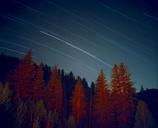 star-trails-exposure-731345.jpg