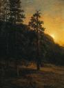 Albert_Bierstadt_-_California_Redwoods.jpg