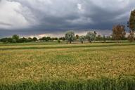 storm-wind-windstorm-fields-nature-60796.jpg