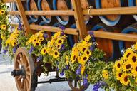 beer-car-barrels-beer-barrel-coach-922676.jpg