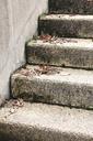 steps-concrete-grey-dull-staircase-1110865.jpg