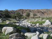 mongolia-torrent-steppe-971578.jpg