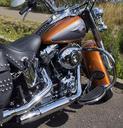 harley-davidson-motorcycle-869070.jpg