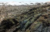 Geologic_formations_revealed_at_low_tide,_Tanjung_Rimau.jpg