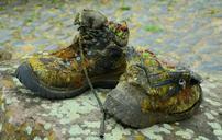 shoes-old-decoration-succulents-784698.jpg