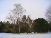 Clarence E. Lewis Landscape Arboretum - IMG 8951.JPG