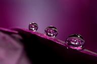 water-droplets-close-up-1416898.jpg