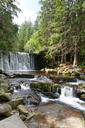 waterfall-torrent-forest-stream-1585584.jpg