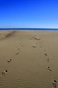 footprints-sand-sea-sky-beach-1075130.jpg