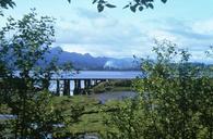 View of the coast through the undergrowth.jpg