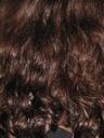 hair-dark-brunette-curly-lure-23087.jpg