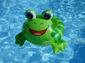 frog-float-plastic-summer-swim-1558009.jpg