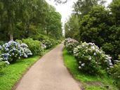 Garden-stone-path-with-grass.jpg