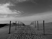 sand-dune-nature-sea-coast-682784.jpg