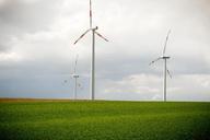 wind-wind-power-1315899.jpg