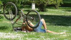 bicycle-cyclist-rest-tree-bike-333186.jpg