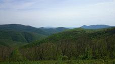 mountains-summer-greens-mountain-603438.jpg