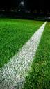 line-football-soccer-field-1317603.jpg