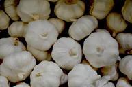 garlic-vegetables-food-696446.jpg