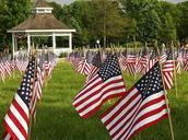 flags-american-memorial-day-freedom-292774.jpg