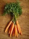 carrots-carrot-tops-vegetable-1112020.jpg