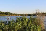 park-lake-nature-water-landscape-595890.jpg