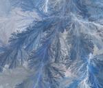 frost-frosty-frosted-ice-icy-iced-315588.jpg