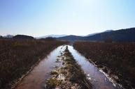 marsh-land-wet-creek-stream-river-691281.jpg