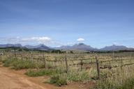 vineyards-vineyard-mountains-winery-102217.jpg