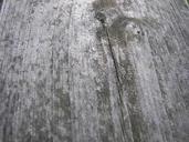 wood-grain-texture-plank-material-619865.jpg