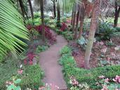 stairs-garden-green-998964.jpg