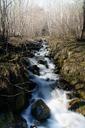 torrent-mountain-water-nature-1258111.jpg