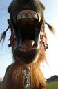 teeth-pony-summer-fun-utrecht-871151.jpg