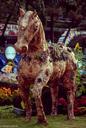 horses-wooden-sculptures-decorative-262945.jpg