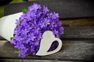 flowerpot-flower-purple-mother-s-day-1372450.jpg