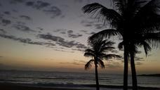 dusk-beach-coconut-tree-mar-880544.jpg