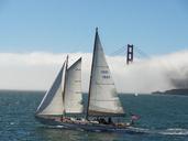 sailboat-san-francisco-412120.jpg