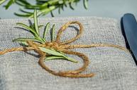 rosemary-herbs-spice-herb-healthy-1678308.jpg