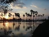 palm-trees-thailand-lake-asia-354766.jpg