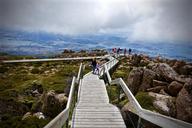 boardwalk-nature-trail-landscape-1166046.jpg