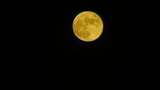 full-moon-night-sky-night-view-534480.jpg