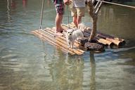 raft-water-human-wood-raft-dog-1642487.jpg