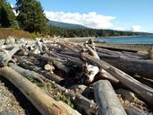 logs-beach-beachcomber-driftwood-1024527.jpg